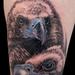 Tattoos - untitled - 77730